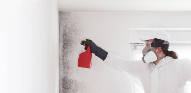 Best Office Mold Removal Services  in Briar Chapel, NC